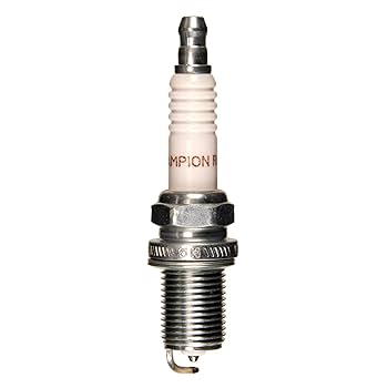 ycf110 2口 Amazon.com: Champion Double Platinum 7346 (RC10PYP4) Pack of